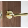 Satin Brass