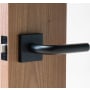 Linnea Marine Grade 316 Stainless Steel LL3 Passage Door Lever Set with Square Rose Satin Black
