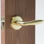 Satin Brass