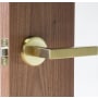 Satin Brass