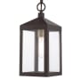 Livex Lighting Nyack Single Light 6" Wide Outdoor Mini Pendant Bronze with Antique Brass Cluster