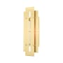Livex Lighting Utrecht Single Light 22" Tall Outdoor Wall Sconce Satin Brass