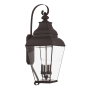 Livex Lighting Exeter 4 Light 36" Tall Outdoor Wall Sconce with Clear Glass Shade Bronze