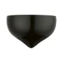 Shiny Black