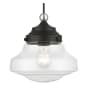 Livex Lighting Avondale 9" Wide Mini Pendant Black / Brushed Nickel Accent