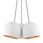 White / Brushed Nickel