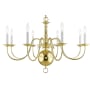 Livex Lighting Williamsburg 8 Light 1 Tier Chandelier Polished Brass