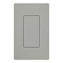 Lutron Claro Designer Blank Insert Gray