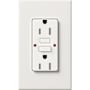 Lutron Architectural 15A Tamper-Resistant GFCI Duplex Receptacle, Self-Testing, 125V, Wall Plate Included Matte White