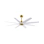 Matthews Fan Company Ariella 64" 8 Blade Indoor / Outdoor Ceiling Fan Brushed Brass / Matte White