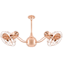 Polished Copper