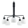 Maxim Coraline 5 Light 27" Wide Chandelier Black