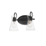 Maxim Ava 2 Light 14" Wide Vanity Light Black