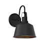 Meridian 12" Tall Outdoor Wall Sconce with 10-1/2" Extension Matte Black