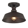 Meridian 10" Wide Semi-Flush Ceiling Fixture Oil Rubbed Bronze