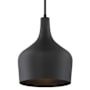 Meridian 11" Wide Pendant Matte Black