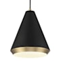 Meridian 10" Wide Pendant Matte Black / Natural Brass