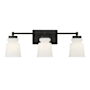 Meridian 3 Light 24" Wide Bathroom Vanity Light Matte Black