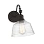 Meridian 12" Tall Wall Sconce with Hammered Glass Shade Oil Rubbed Bronze