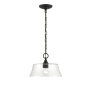 Millennium Lighting Caily 12" Wide Pendant Matte Black