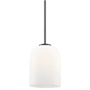 Millennium Lighting Laphia 8" Wide Mini Pendant Matte Black