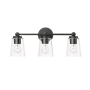 Millennium Lighting Lauryn 3 Light 22" Wide Vanity Light with Seedy Glass Shades Matte Black