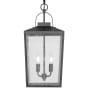 Millennium Lighting Devens 2 Light 10" Wide Outdoor Pendant Powder Coat Black
