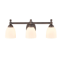 Millennium Lighting 3 Light 22" Wide Vanity Light with Frosted Glass Shades Rubbed Bronze