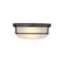 Millennium Lighting Arlson 2 Light 13" Wide Flush Mount Bowl Ceiling Fixture Matte Black