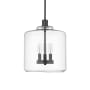 Millennium Lighting Asheville 3 Light 12" Wide Pendant Matte Black