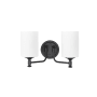 Millennium Lighting Ailey 2 Light 15" Wide Vanity Light with Frosted Glass Shades Matte Black