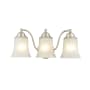 Millennium Lighting 3 Light 18" Wide Vanity Light with Frosted Glass Shades Satin Nickel