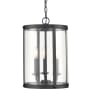 Millennium Lighting Aydenn 3 Light 12" Wide Pendant Matte Black