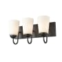 Millennium Lighting Ivey Lake 3 Light 16" Wide Bathroom Vanity Light Matte Black