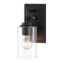 Minka Lavery Binsly 1 Light 11" Tall Bathroom Sconce with Clear Glass Shade Coal
