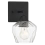 Minka Lavery Camrin 1 Light 9" Tall Vantage Bathroom Sconce Coal