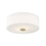 Mitzi Sophie 2 Light 12" Wide Flush Mount Ceiling Fixture with Opal Etched Shade Aged Brass