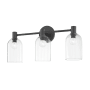 Mitzi Paisley 3 Light 22" Wide Bathroom Vanity Light Soft Black