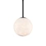 Modern Forms Pisces 8" Wide LED Mini Pendant Black