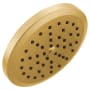 Moen Greenfield 2.5 GPM Single Function Shower Head Brushed Gold