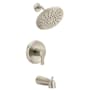 Brushed Nickel