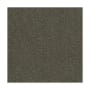 Mohawk Industries Sample Only of EQ306 Majorca
