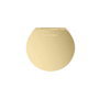Mr Steam Designer Round 3" Steamhead with AromaTherapy Reservoir Satin Brass