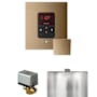 Mr Steam Basic Butler Package Steam Shower Control Package with Square Itempo Control and Linear Steamhead Brushed Bronze