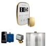Mr Steam ButlerFlex Steam Shower Control Package with TempoFlex Control and Steamhead White / Polished Brass