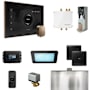 Mr Steam Bliss Package Steam Shower Control Package with Isteamx Control and Steamhead Black / Nouveau Bronze