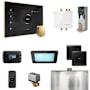 Mr Steam Bliss Steam Shower Control Package with iSteamX Control and Steamhead Black / Polished Brass