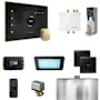 Mr Steam Bliss Steam Shower Control Package with iSteamX Control and Steamhead Black / Satin Brass