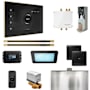 Mr Steam Bliss Max Steam Shower Control Package with iSteamX Control and Linear Steamhead Black / Satin Brass