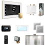 Mr Steam Bliss Steam Shower Control Package with iSteamX Control and Steamhead White / Polished Brass
